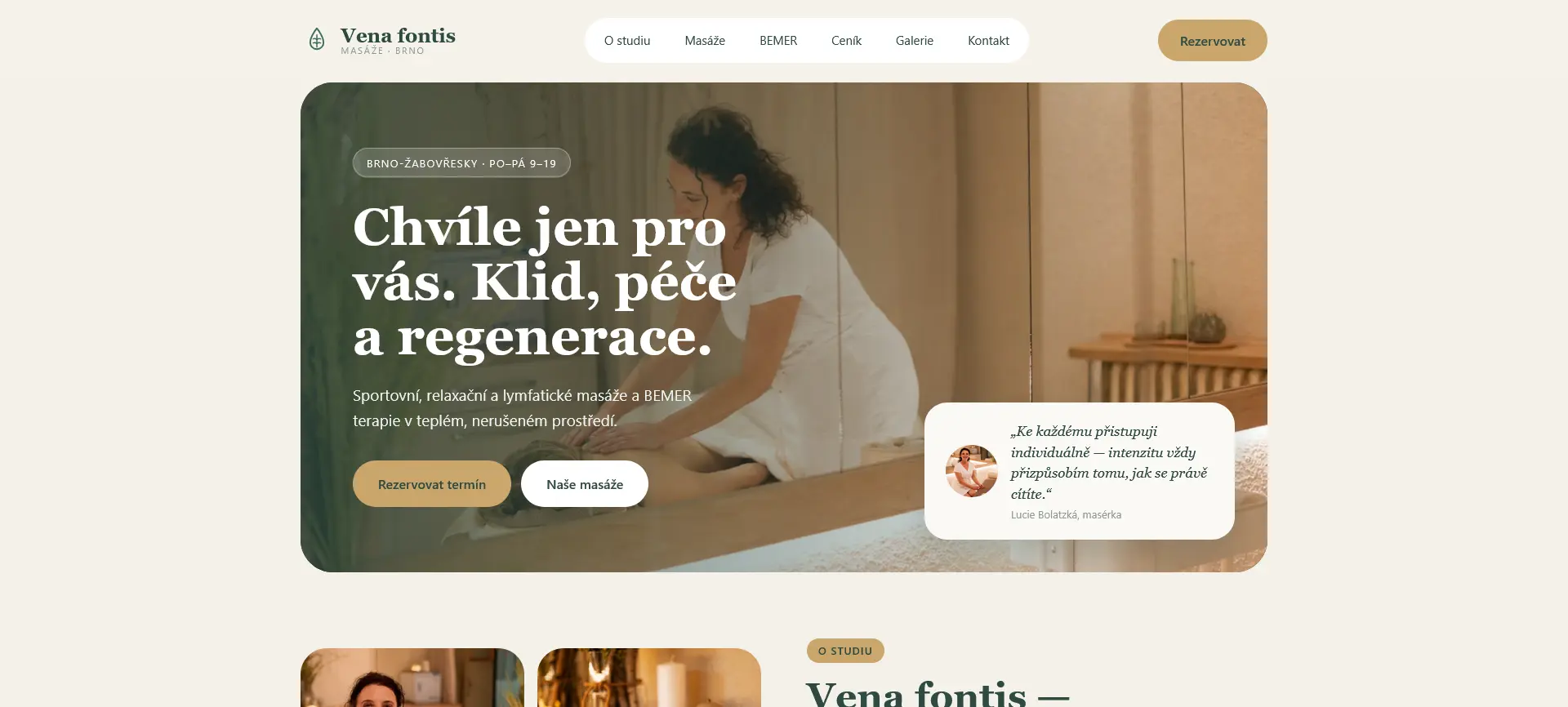 Vena fontis